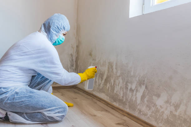 Licensed Mold Testing service in Murfreesboro, NC - WQB Mold Removal