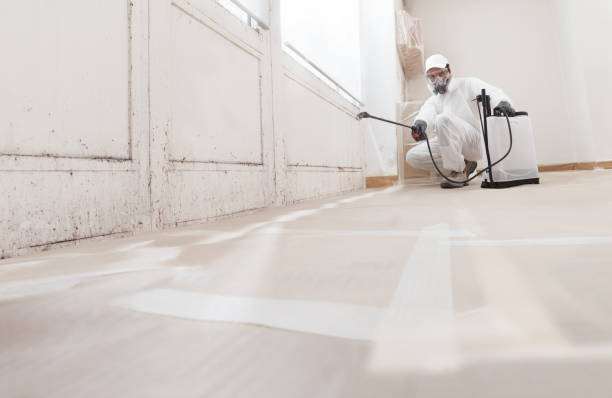 24/7 Emergency Mold Testing experts in Murfreesboro, NC
