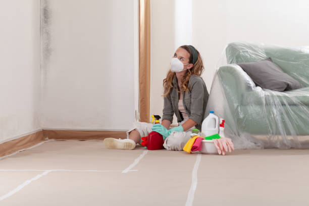 Reliable Mold Testing contractor in Murfreesboro, NC by WQB Mold Removal