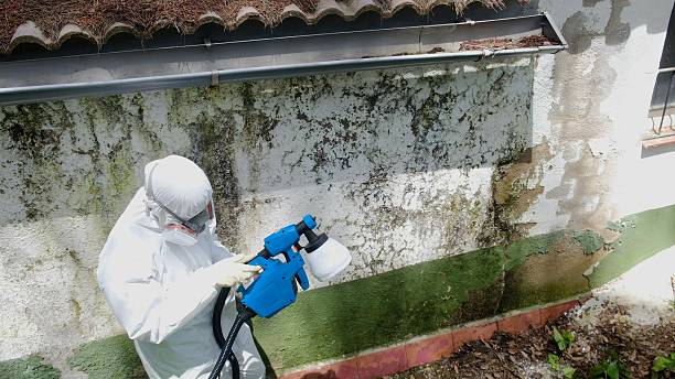 Top rated local Mold Testing specialists in Murfreesboro, NC